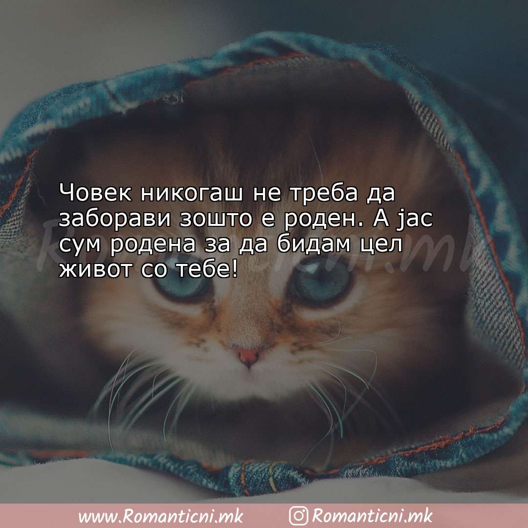 Ljubovni poraki: Човек никогаш не треба да заборави зошто е роде