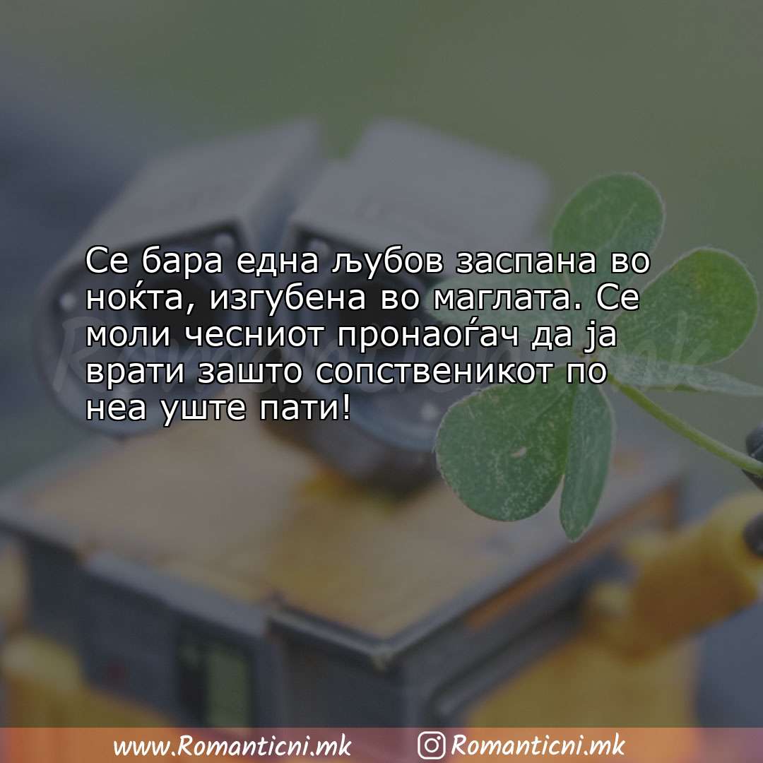 Љубовна порака: Се бара една љубов заспана во ноќта, изгубена во маглата. Се моли ч