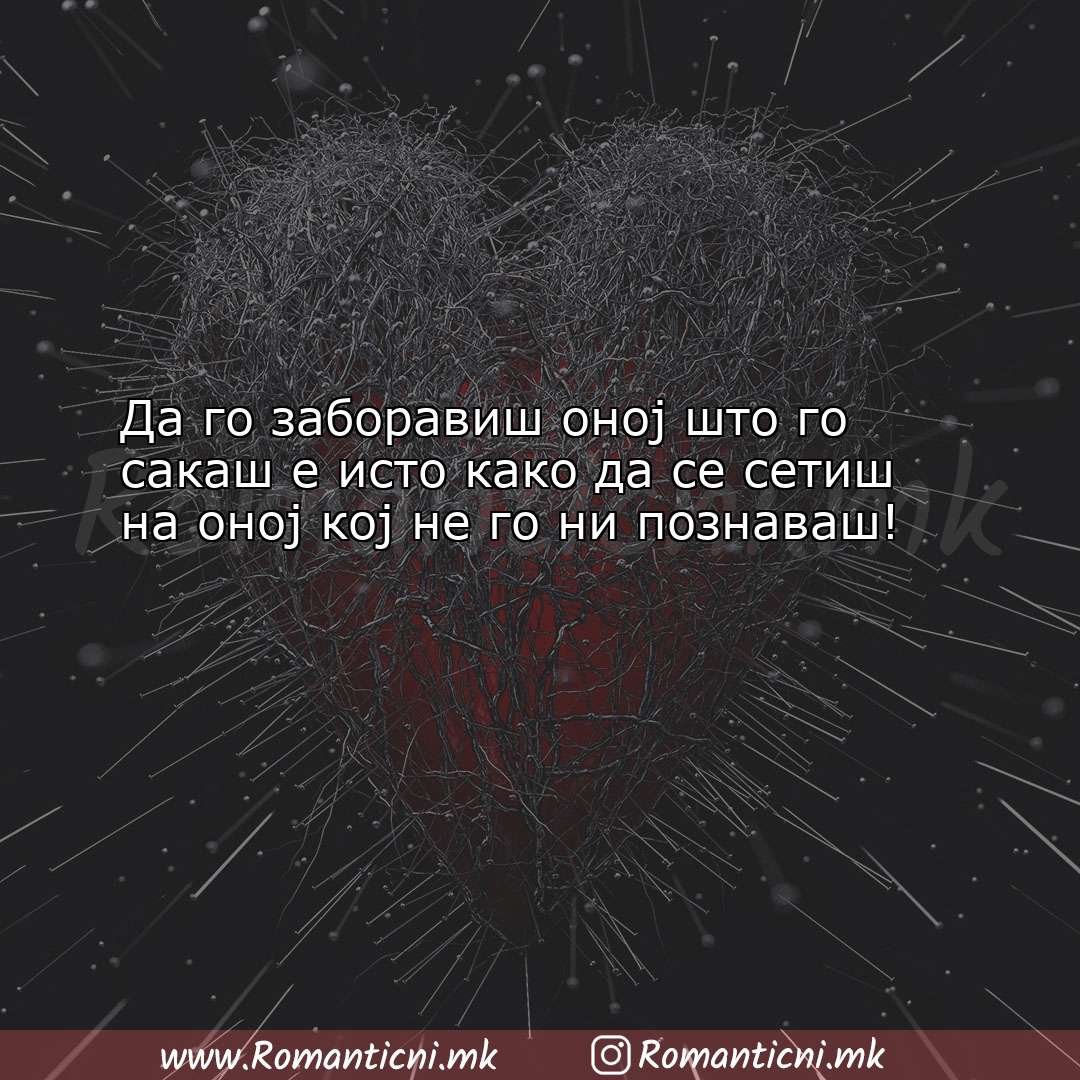 Роденденски пораки: Да го заборавиш оној што го сакаш е исто ка