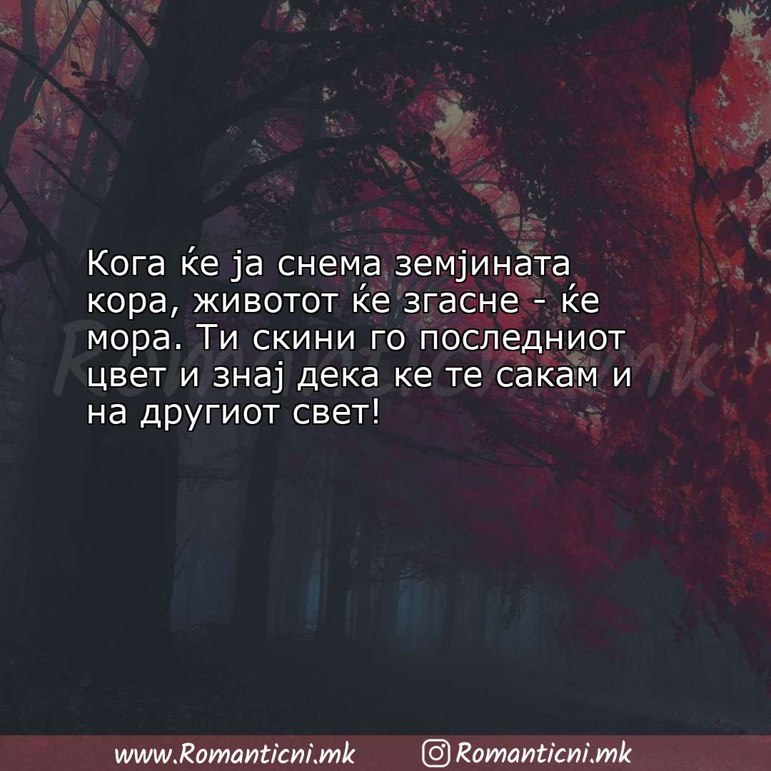 Ljubovni poraki: Кога ќе ја снема земјината кора, животот ќе згасне - ќе мора. Ти с