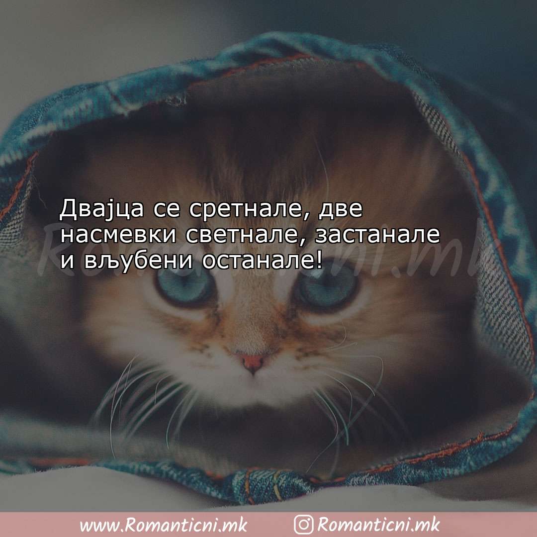 Ljubovni statusi: Двајца се сретнале, две насмевки све