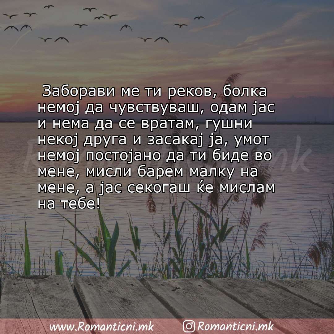 Љубовни смс пораки:  Заборави ме ти реков, болка немој да чувствуваш, одам јас и нема да се вратам, гушни некој друга и засак