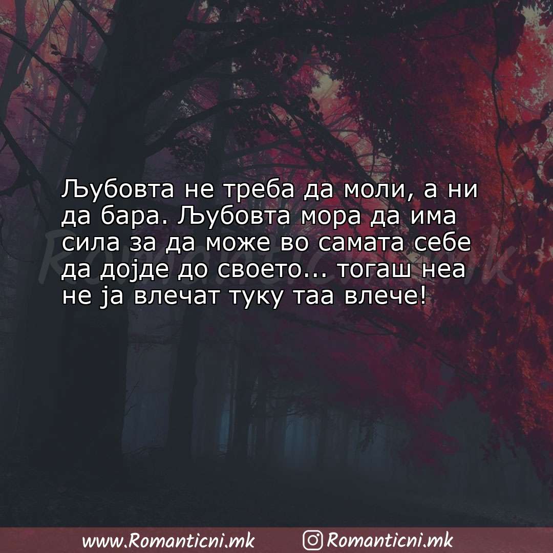 Rodendenski poraki: Љубовта не треба да моли, а ни да бара. Љубовта мора да има сила за да може 