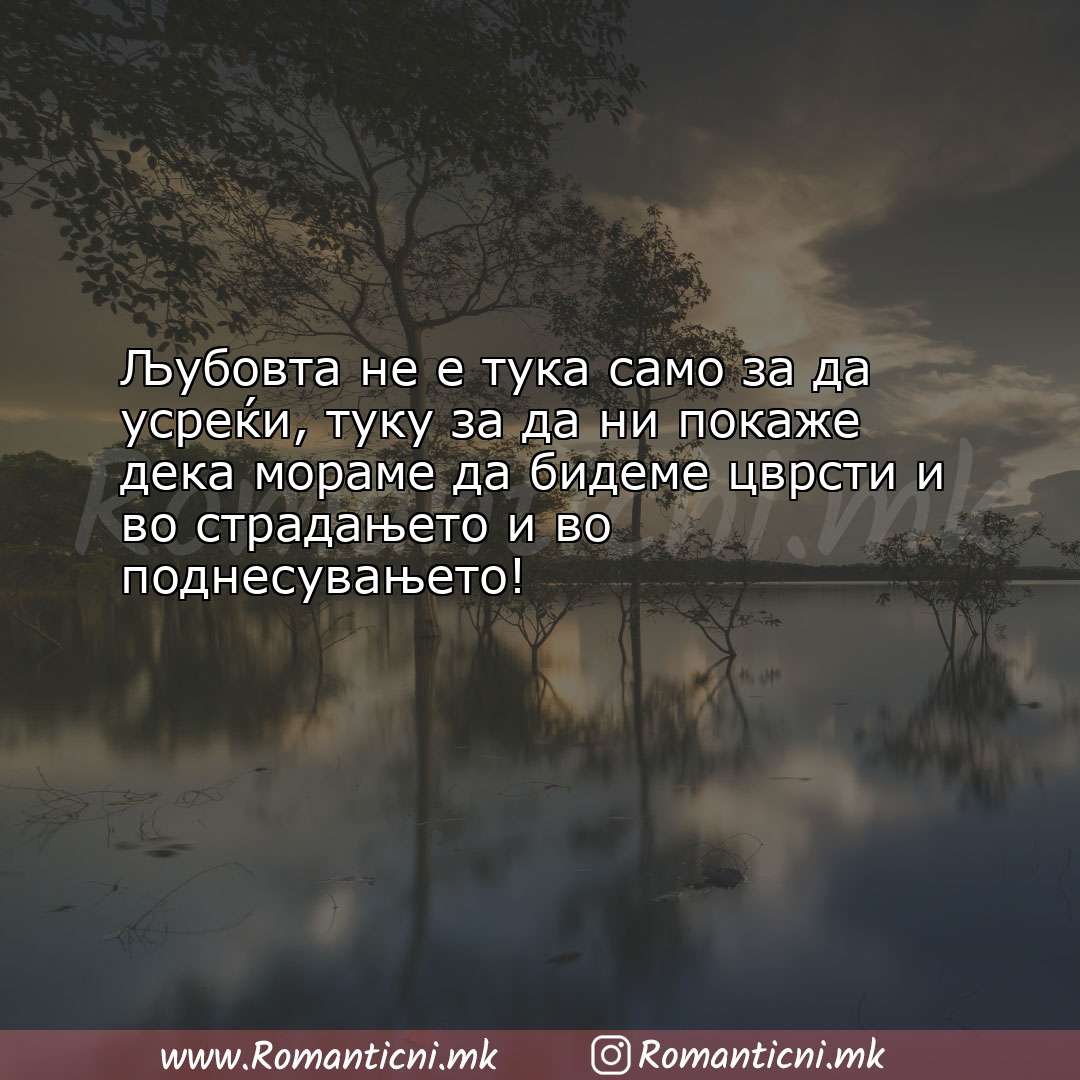 Роденденски пораки: Љубовта не е тука само за да усреќи, туку за да ни покаже дека