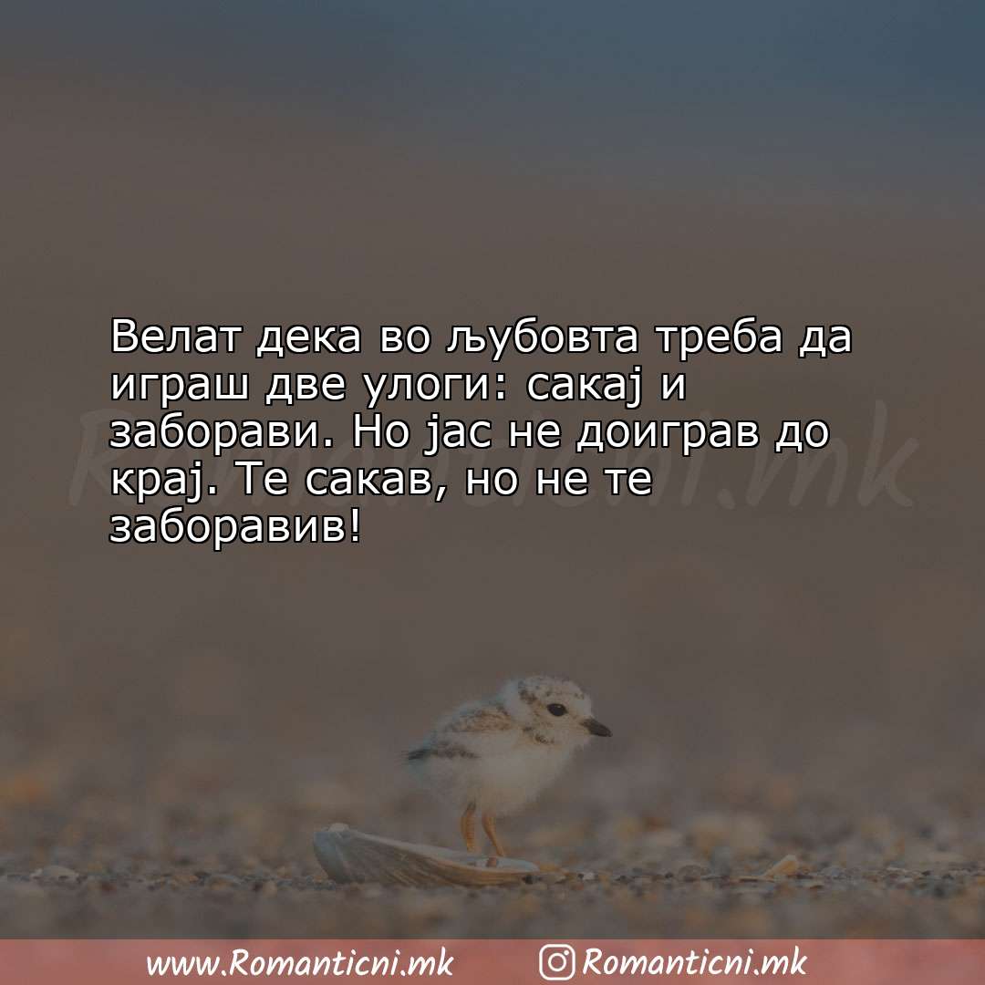 Rodendenski poraki: Велат дека во љубовта треба да играш две улоги: сакај и забо
