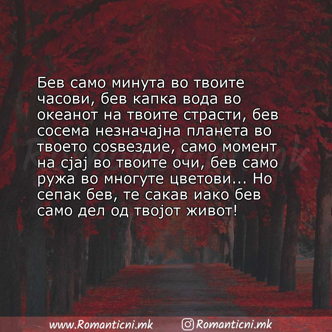 Љубовна порака: Бев само минута во твоите часови, бев капка вода во океанот на твоите страсти, бев сосема незначајна планета во твоето соѕвезд