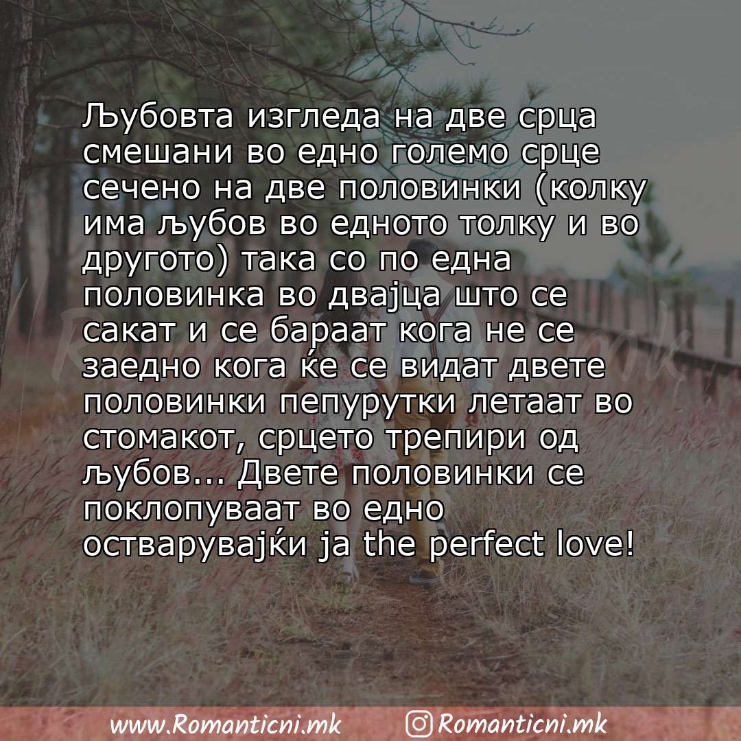 Љубовни смс пораки: Љубовта изгледа на две срца смешани во едно големо срце сечено на две половинки (колку има љубов во едното толку и во другото) така со по една половинка во двајца што се сакат и се 