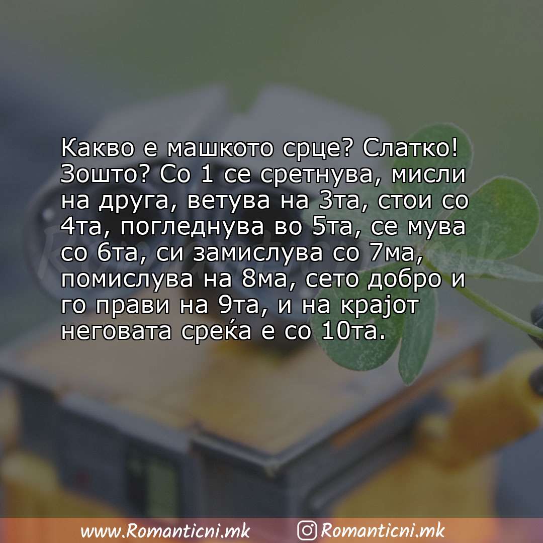 Poraki za dobra nok: Какво е машкото срце? Слатко! Зошто? Со 1 се сретнува, мисли на друга, ветува на 3та, стои со 4та, погледнува во 5та, с