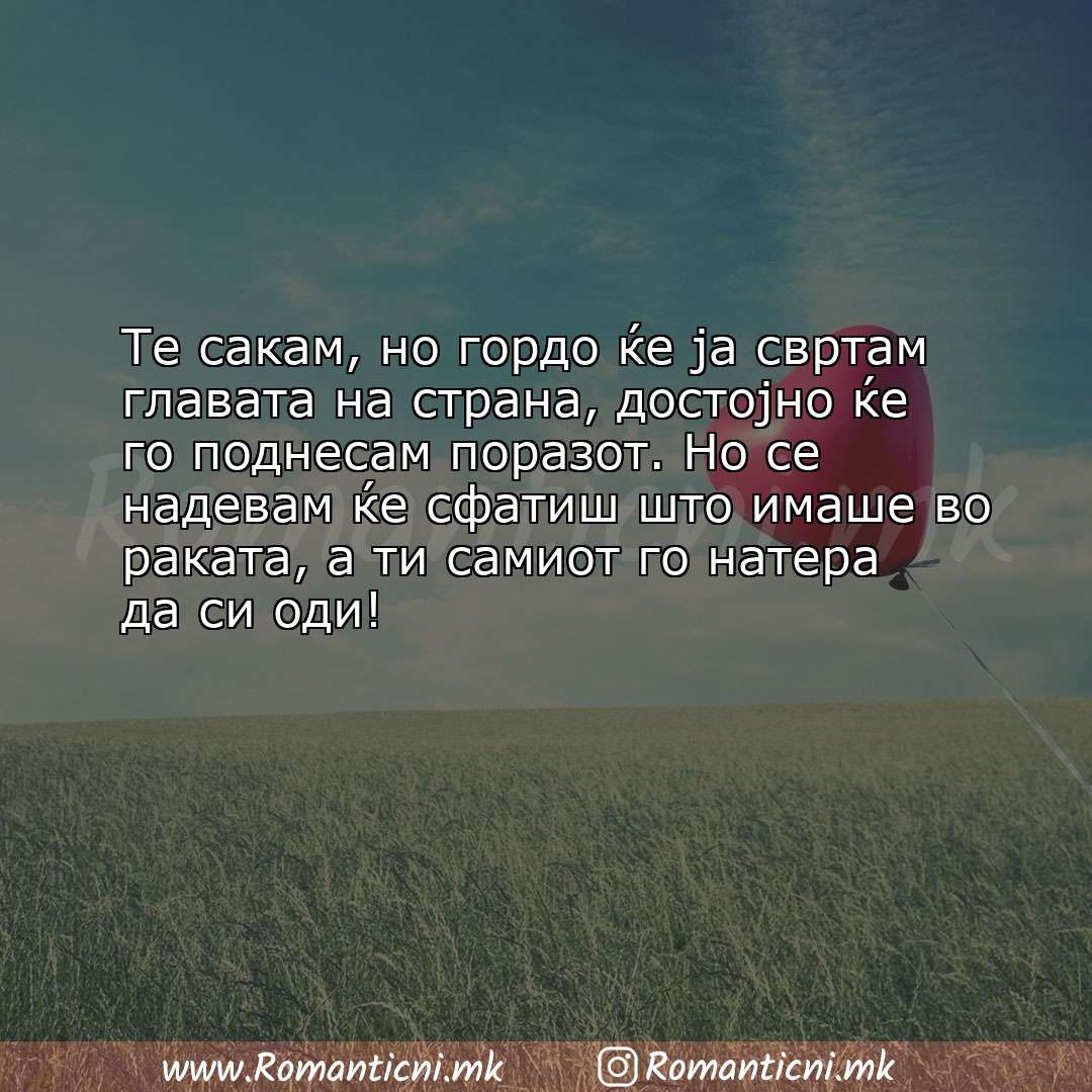 Роденденски пораки: Те сакам, но гордо ќе ја свртам главата на страна, достојно ќе го поднесам пора