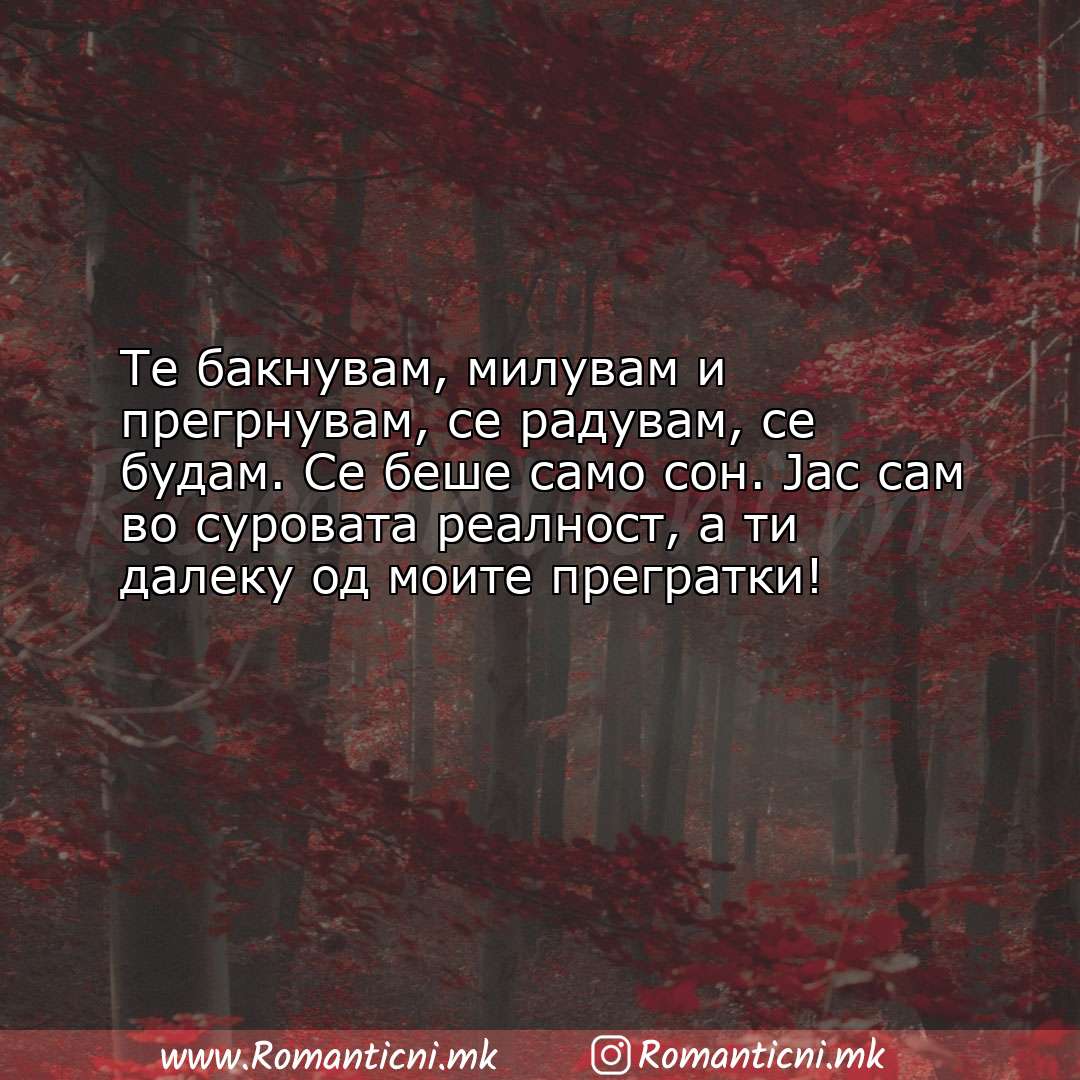 Ljubovni statusi: Те бакнувам, милувам и прегрнувам, се радувам, се будам. Сe беше сам