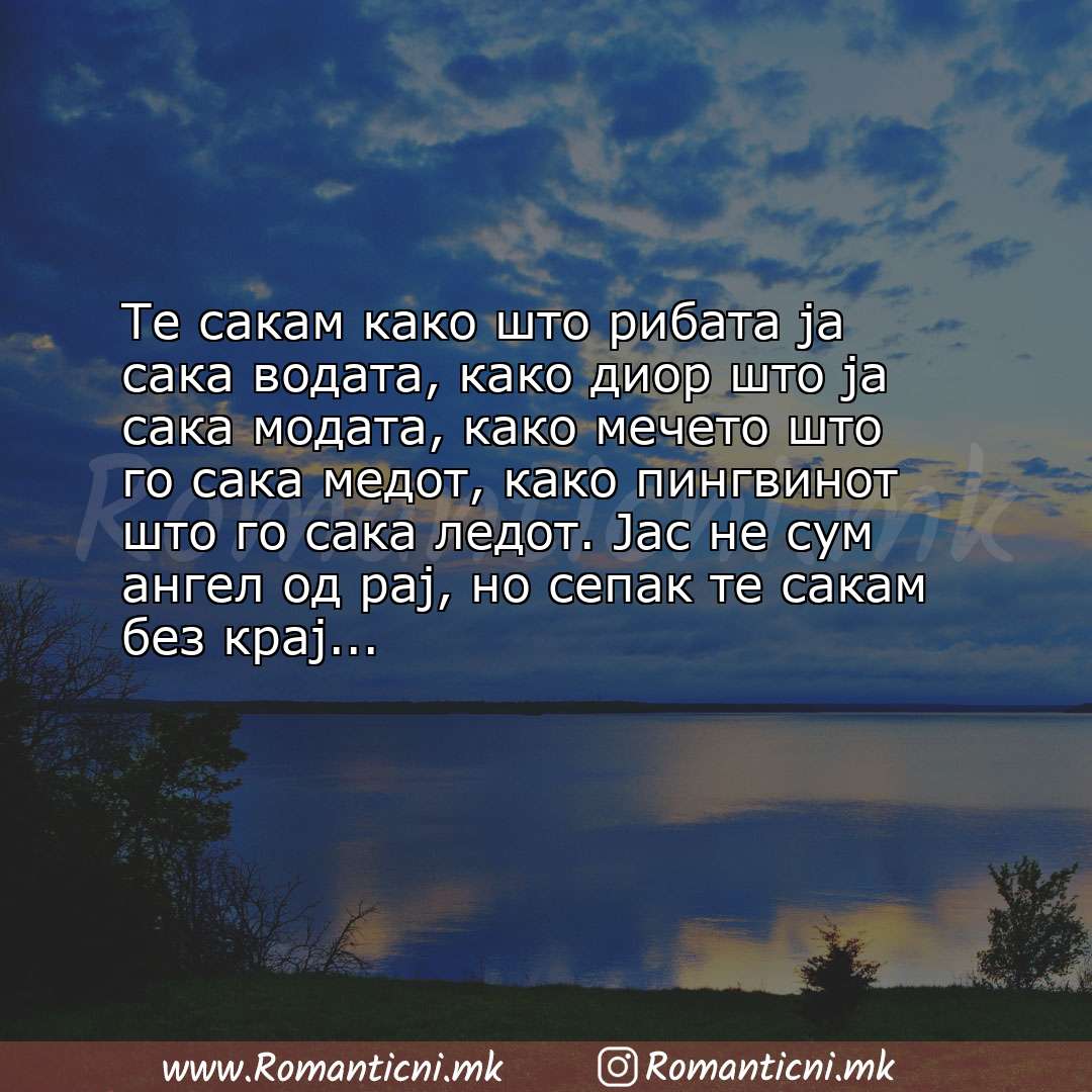 Љубовна порака: Те сакам како што рибата ја сака водата, како диор што ја сака модата, како мечето што го сака