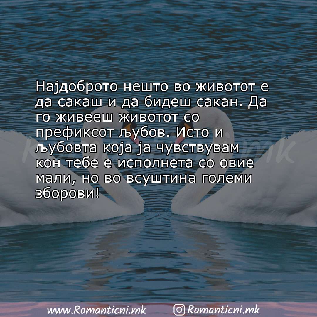 Rodendenski poraki: Најдоброто нешто во животот е да сакаш и да бидеш сакан. Да го живееш животот со префиксот љубов. И