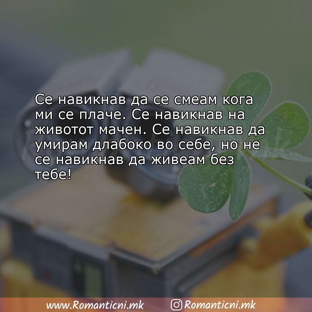 Rodendenski poraki: Се навикнав да се смеам кога ми се плаче. Се навикнав на животот мачен. Се