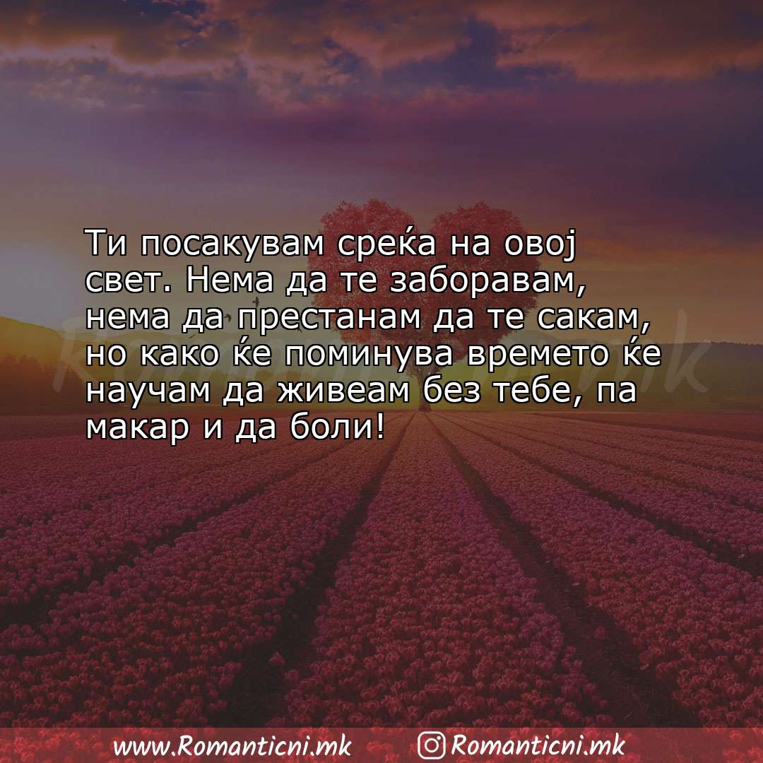 Rodendenski poraki: Ти посакувам среќа на овој свет. Нема да те заборавам, нема да престанам да те са