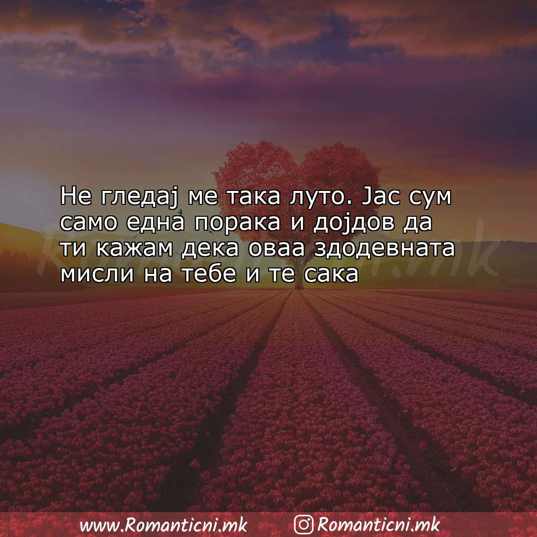 Љубовна порака: Не гледај ме така луто. Јас сум само една порака и дојдов