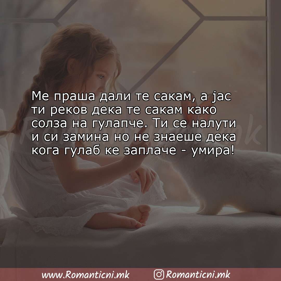 Љубовни смс пораки: Ме праша дали те сакам, а јас ти реков дека те сакам како солза на гулапче