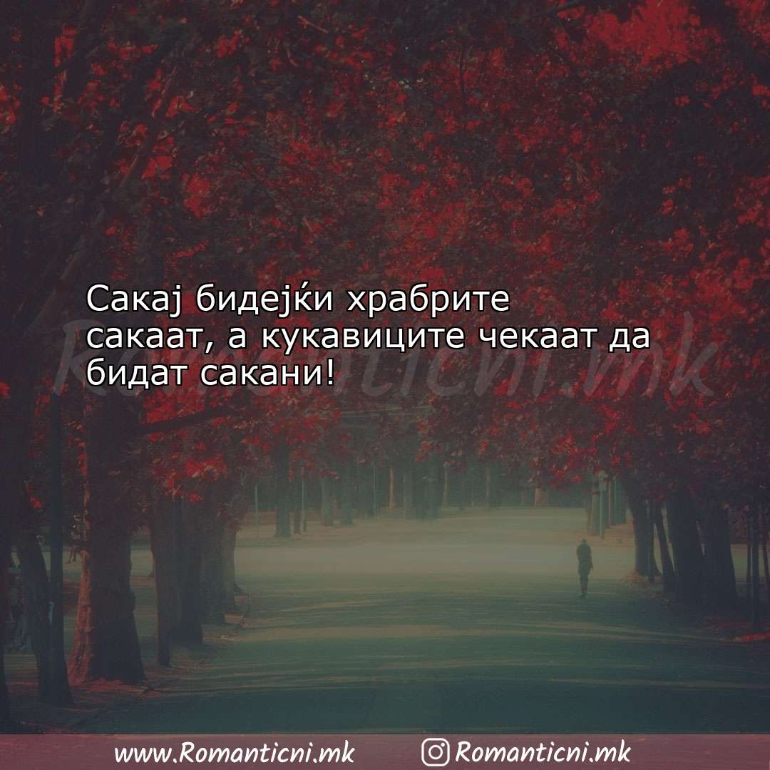 Rodendenski poraki: Сакај бидејќи храбрите сакаат, а к