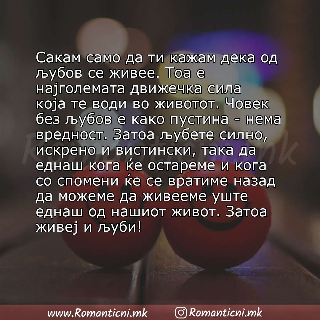 Ljubovna poraka: Сакам само да ти кажам дека од љубов се живее. Тоа е најголемата движечка сила која те води во животот. Човек без љубов е како пустина - нема вредност. Затоа љубете 