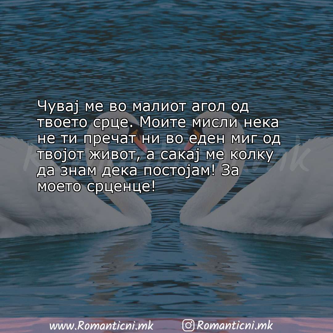 Роденденски пораки: Чувај ме во малиот агол од твоето срце. Моите мисли нека не ти пречат ни во еде
