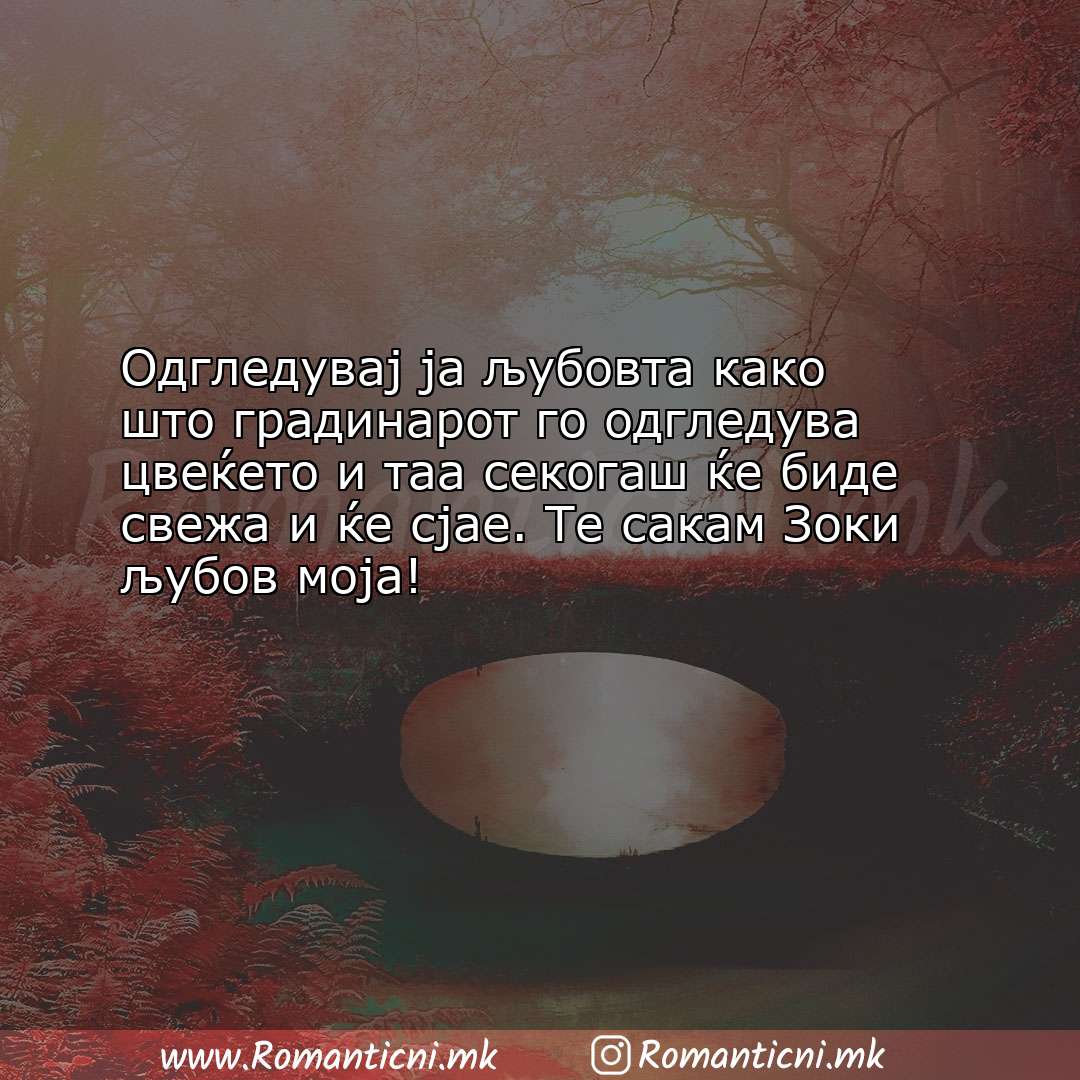 Ljubovni statusi: Одгледувај ја љубовта како што градинарот го одгледува цвеќет