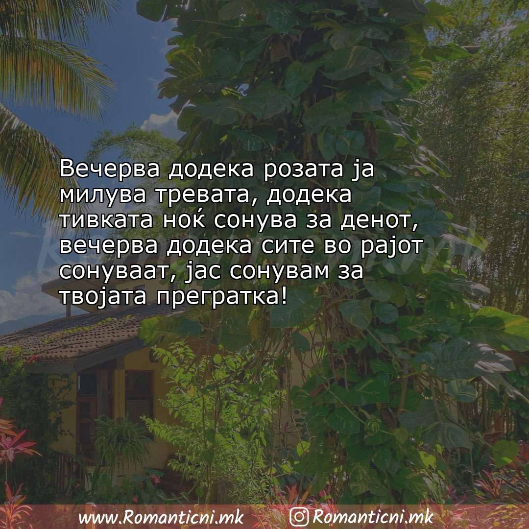 Ljubovna poraka: Вечерва додека розата ја милува тревата, додека тивката ноќ сонува за дено