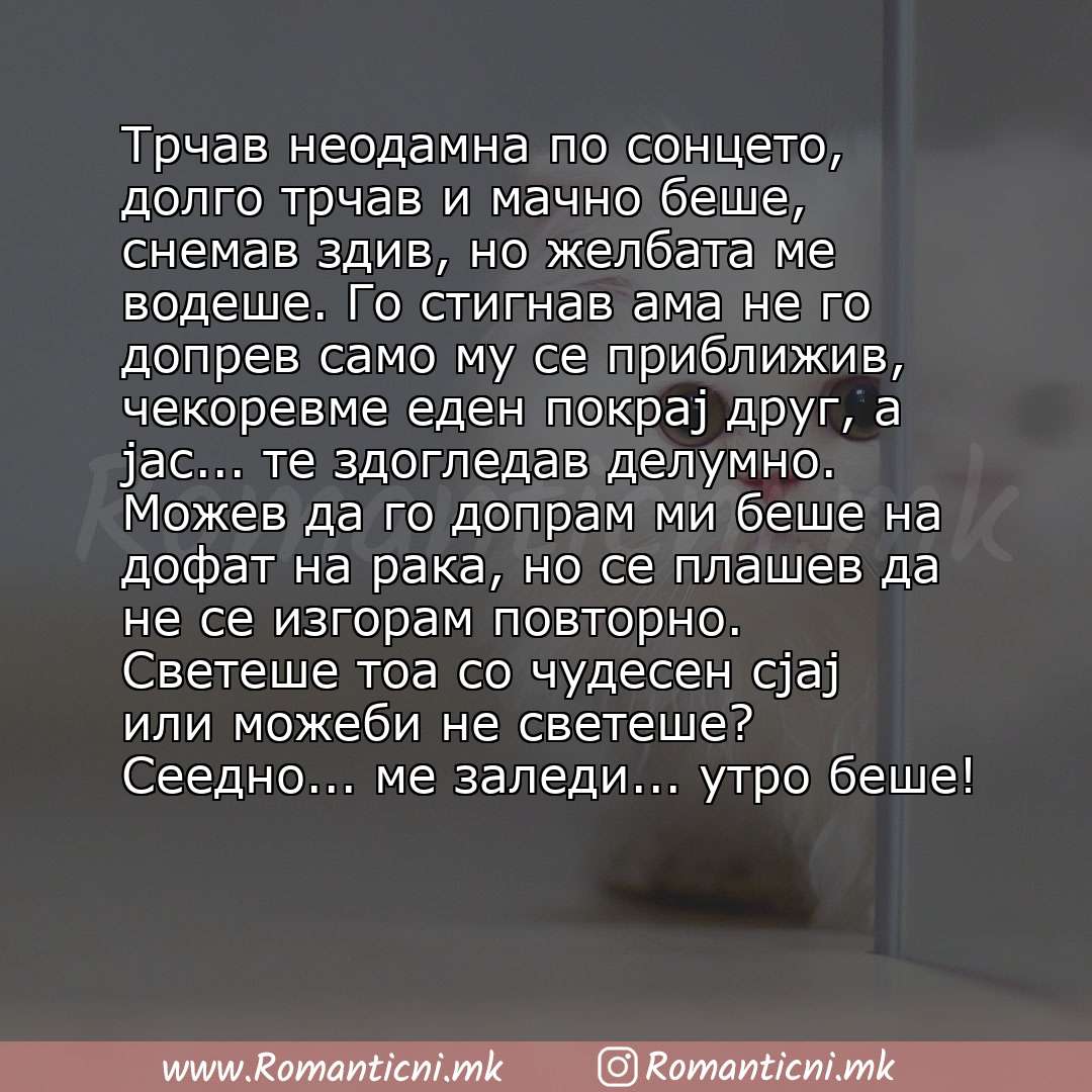 Ljubovni poraki: Трчав неодамна по сонцето, долго трчав и мачно беше, снемав здив, но желбата ме водеше. Го стигнав ама не го допрев само му се приближив, чекоревме еден покрај друг, а јас... те здог