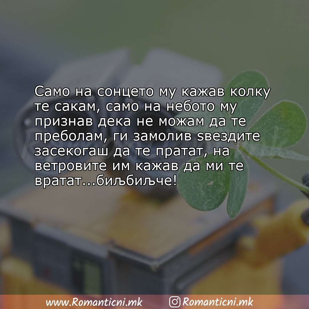 Роденденски пораки: Само на сонцето му кажав колку те сакам, само на небото му признав дека не можам да те пребола