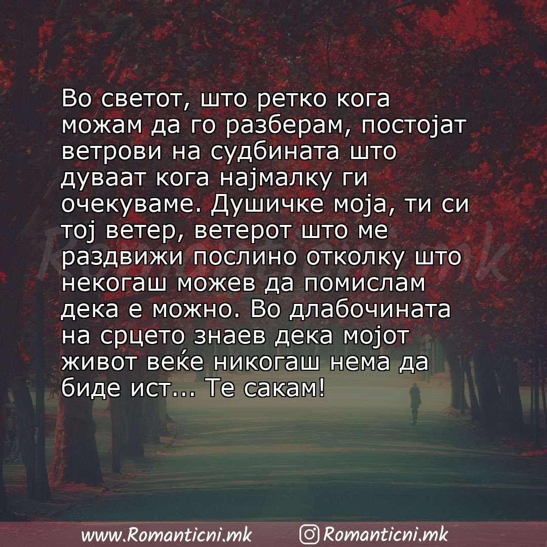 Ljubovni poraki: Во светот, што ретко кога можам да го разберам, постојат ветрови на судбината што дуваат кога најмалку ги очекуваме. Душичке моја, ти си тој ветер, ветерот што м