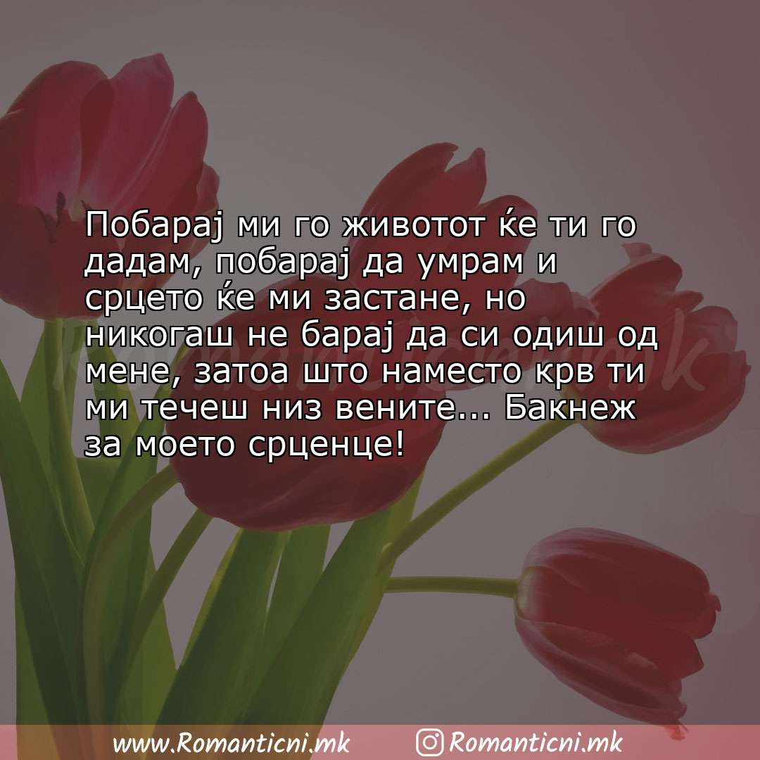 Ljubovni poraki: Побарај ми го животот ќе ти го дадам, побарај да умрам и срцето ќе ми застане, но никогаш не ба