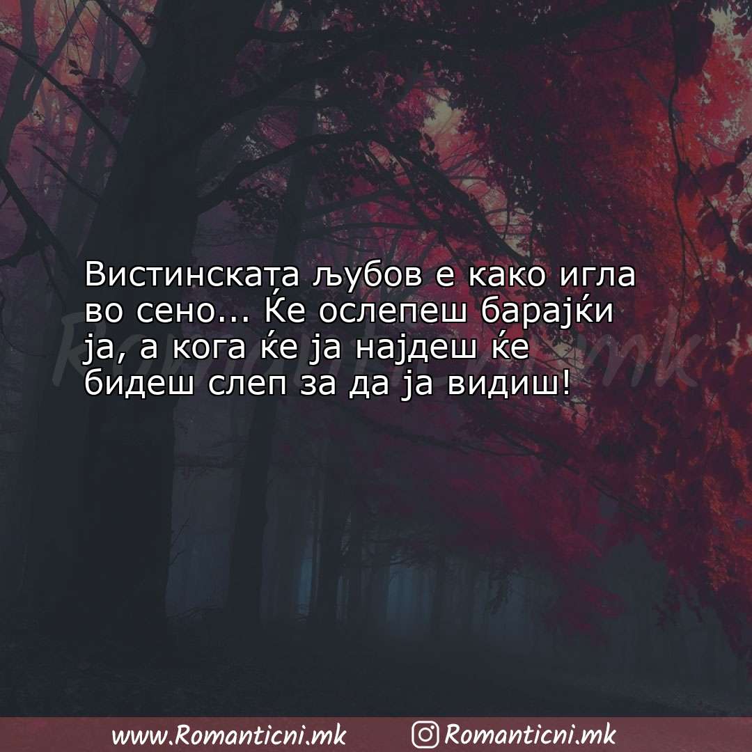 Љубовна порака: Вистинската љубов е како игла во сено... Ќе ослепеш бара