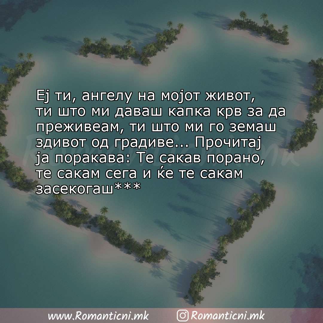 Љубовна порака: Еј ти, ангелу на мојот живот, ти што ми даваш капка крв за да преживеам, ти што ми го земаш здив