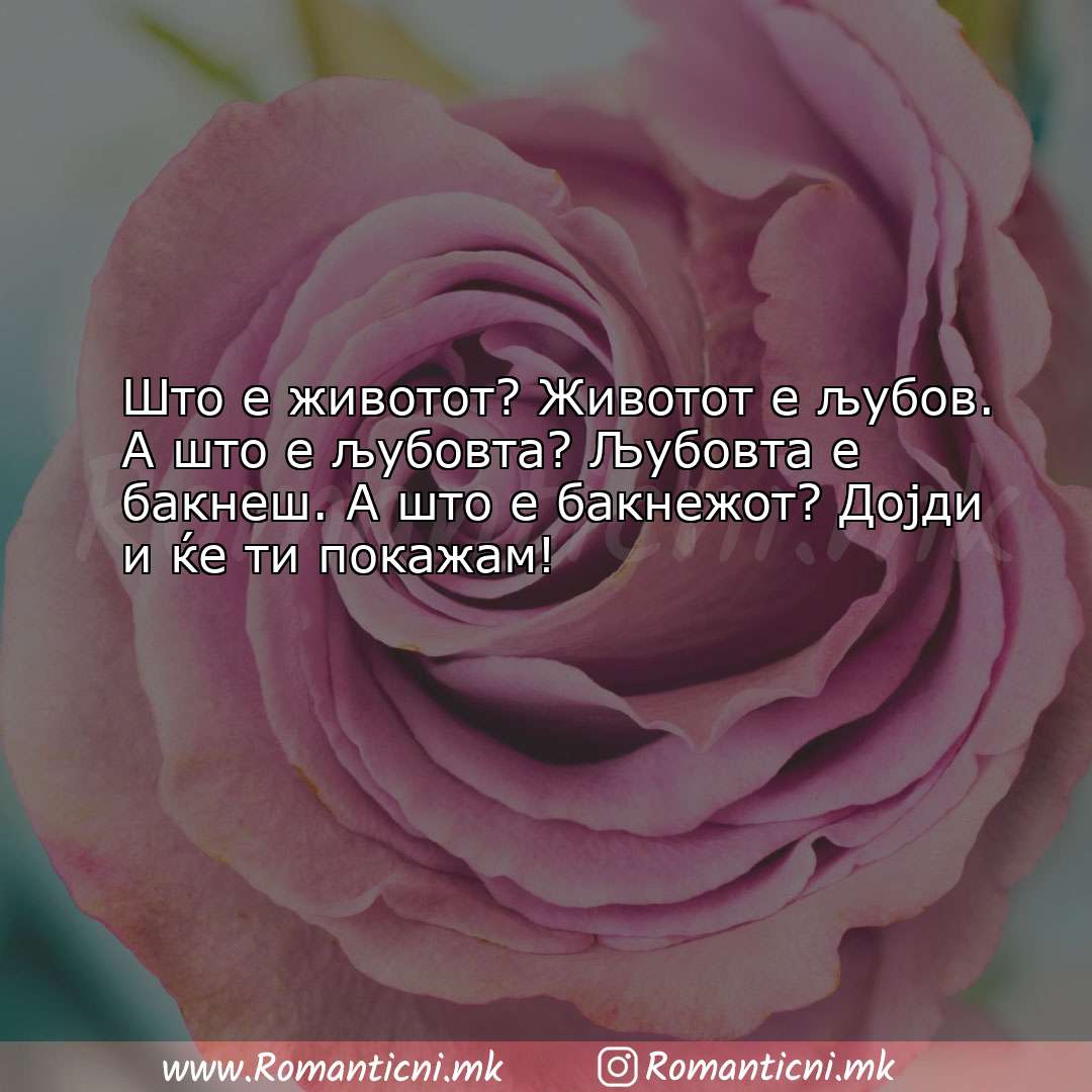 Љубовна порака: Што е животот? Животот е љубов. А што е љубовта? Љубо