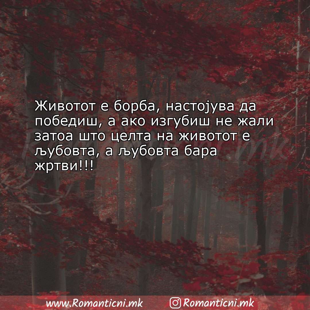 Ljubovna poraka: Животот е борба, настојува да победиш, а ако изгубиш не жали 