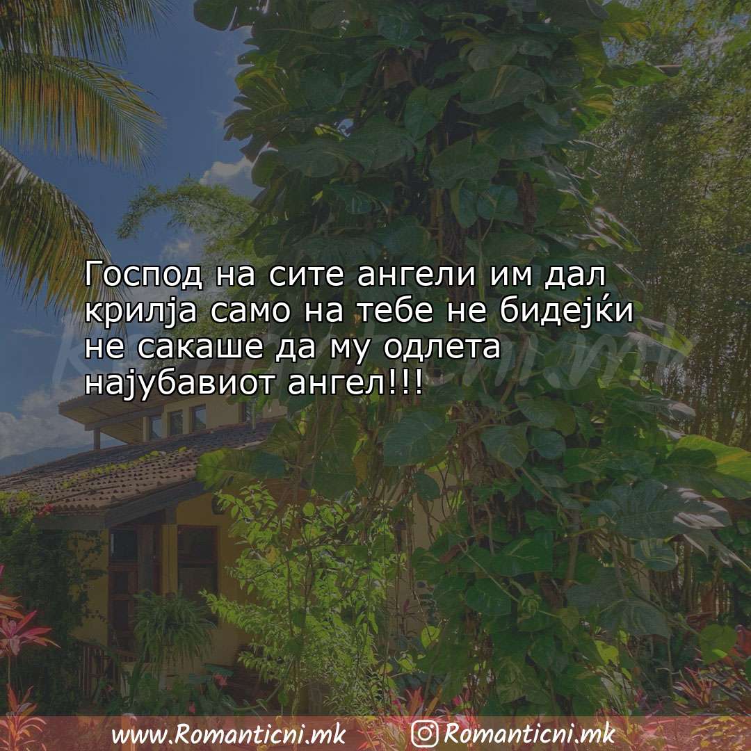 Ljubovni statusi: Господ на сите ангели им дал крилја само на тебе не