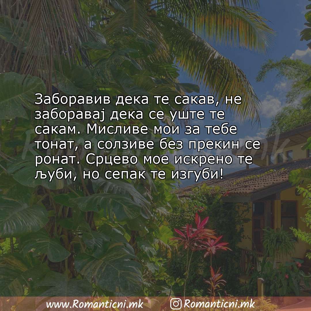 Љубовни смс пораки: Заборавив дека те сакав, не заборавај дека се уште те сакам. Мисливе мои за тебе т