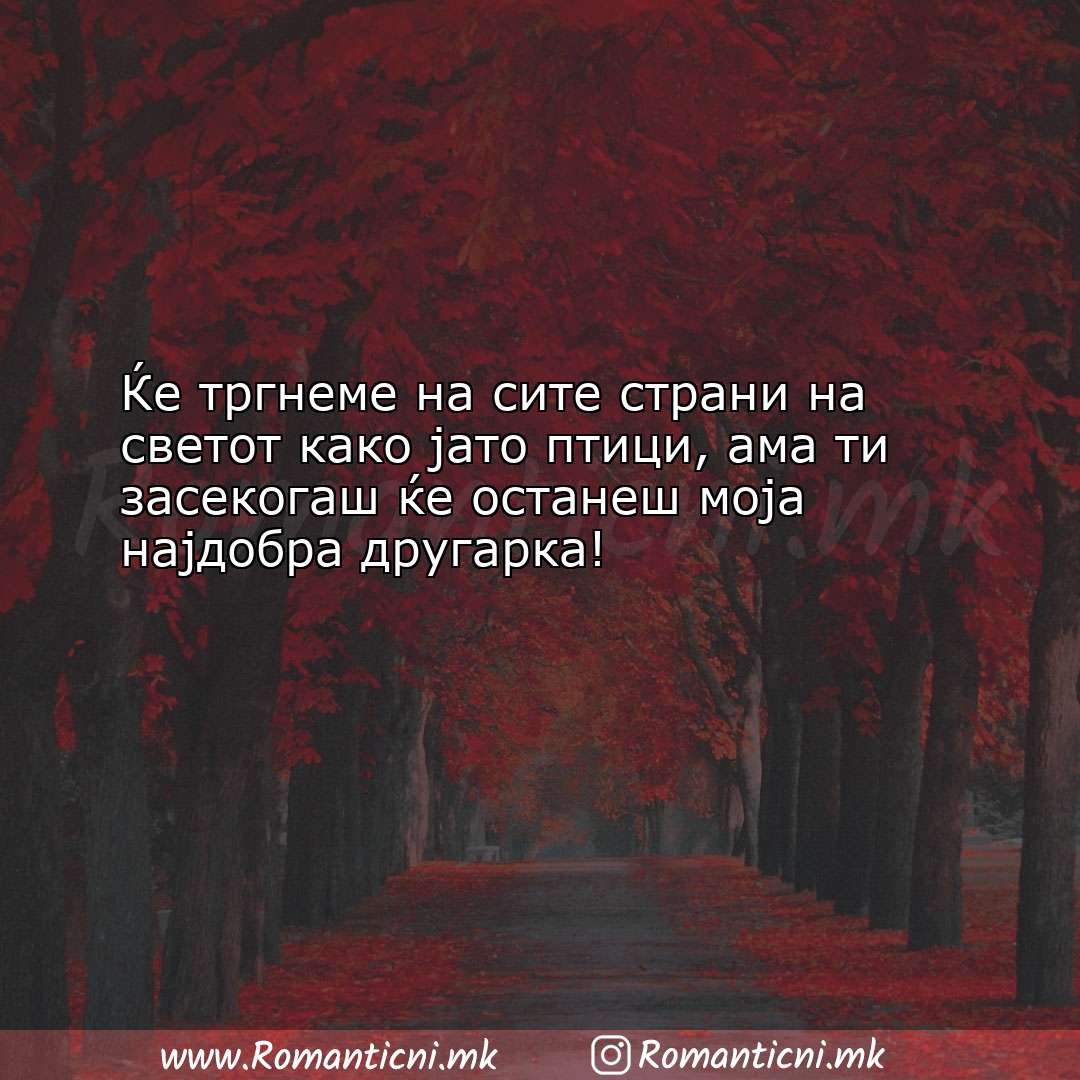 Ljubovni statusi: Ќе тргнеме на сите страни на светот како јато птици,