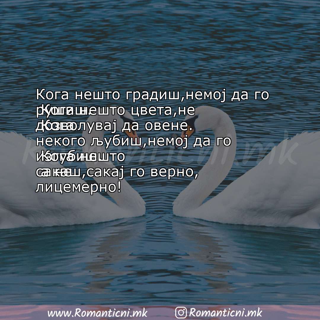 Роденденски пораки: Кога нешто градиш,немој да го рушиш.
 Кога нешто цвета,не дозволувај да овене.
 Кога