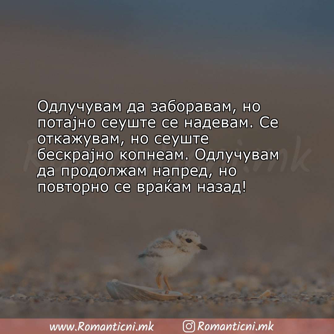 Rodendenski poraki: Одлучувам да заборавам, но потајно сеуште се надевам. Се откажувам, но сеуште 