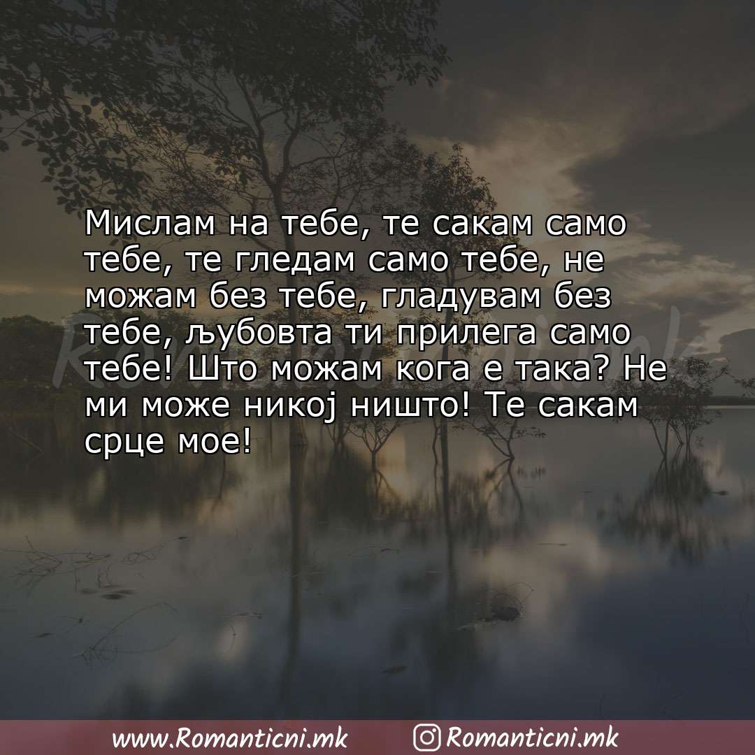 poraki za prijatel: Мислам на тебе, те сакам само тебе, те гледам само тебе, не можам без тебе, гладувам без тебе, 