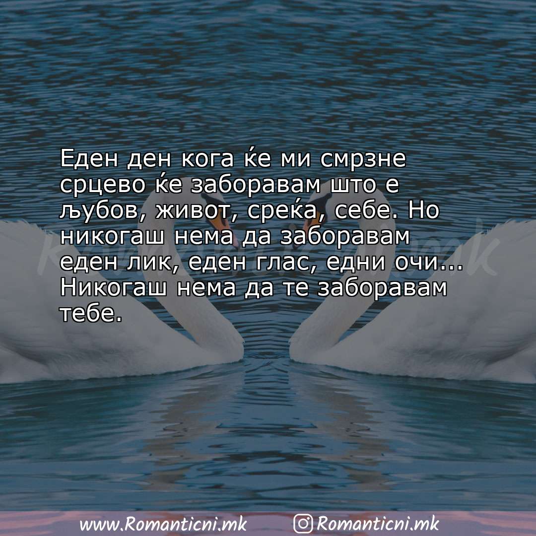 Ljubovni statusi: Еден ден кога ќе ми смрзне срцево ќе заборавам што е љубов, живот, среќа, себе. Но никог