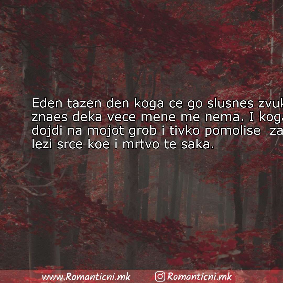 : Eden tazen den koga ce go slusnes zvukot na kabanata ce znaes deka vece mene me nema. I koga site