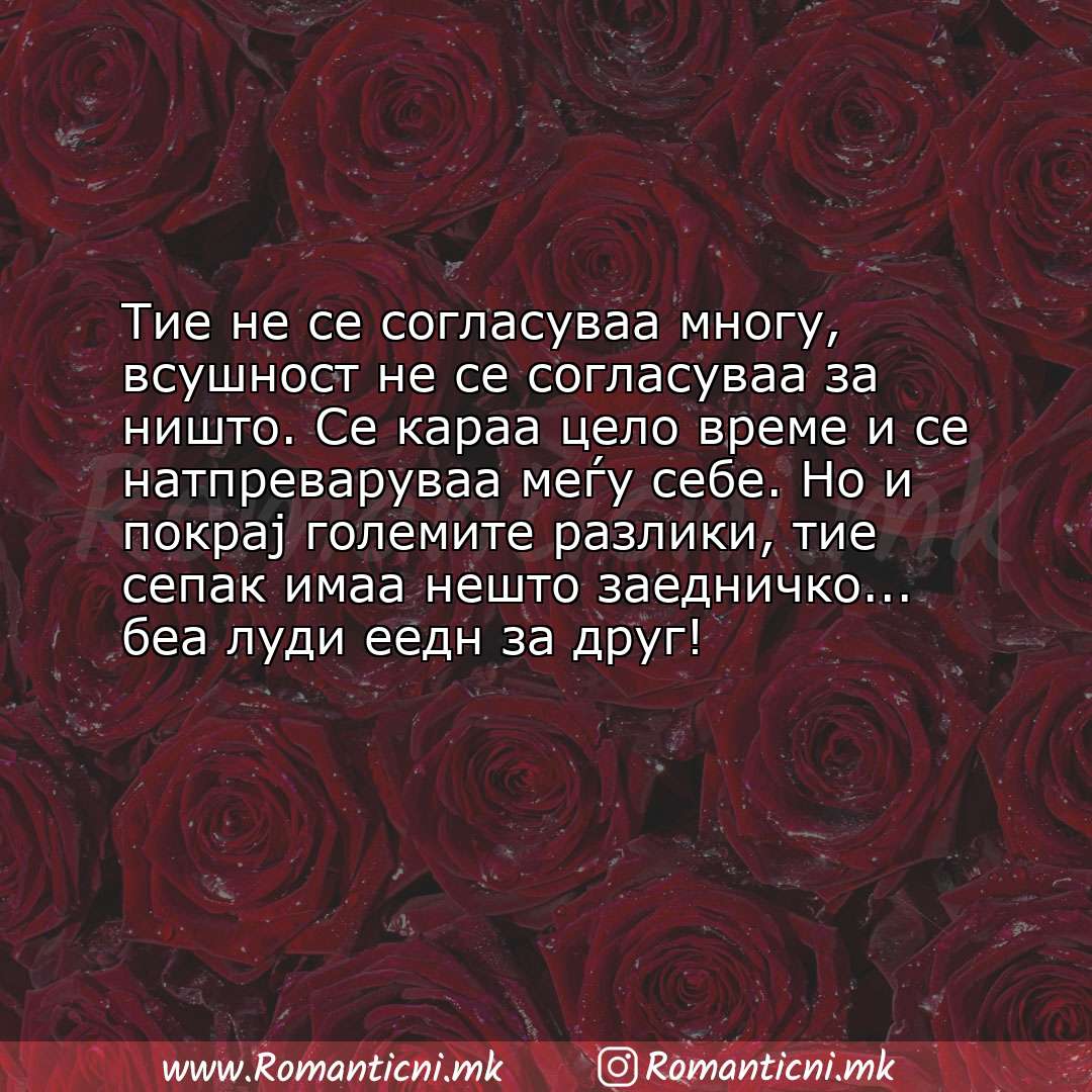 Љубовна порака: Тие не се согласуваа многу, всушност не се согласуваа за ништо. Се караа цело време и се натпревару