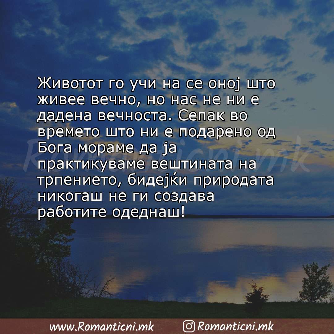 Sms poraka: Животот го учи на се оној што живее вечно, но нас не ни е дадена вечноста. Сепак во времето што ни е подарено од Бо