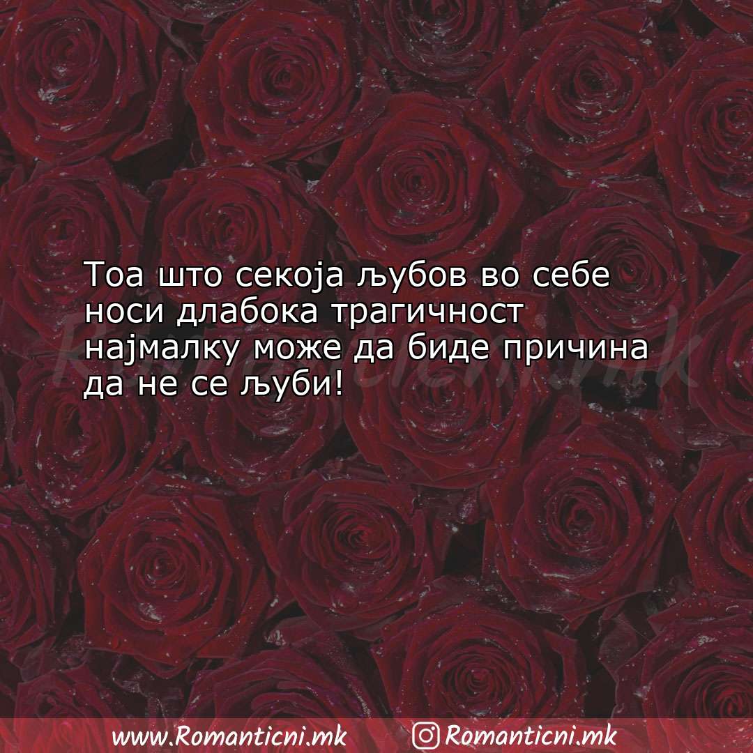 Роденденски пораки: Тоа што секоја љубов во себе носи длабока трагич