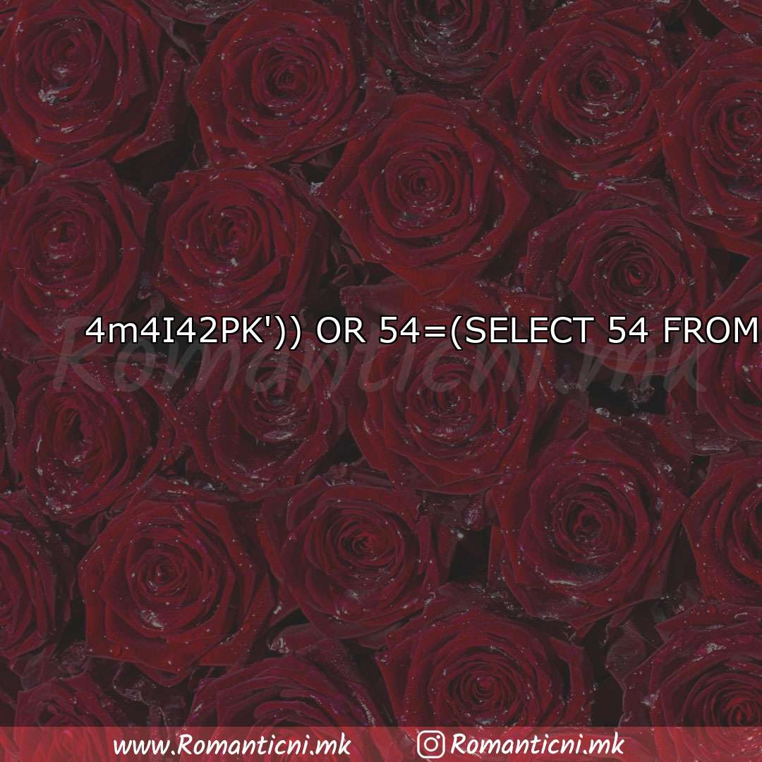 : 4m4I42PK')) OR 54=(SELEC