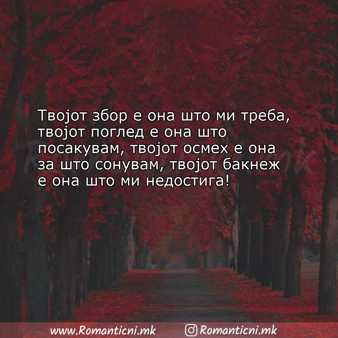 Ljubovni poraki: Твојот збор е она што ми треба, твојот поглед е она што посакувам, тв