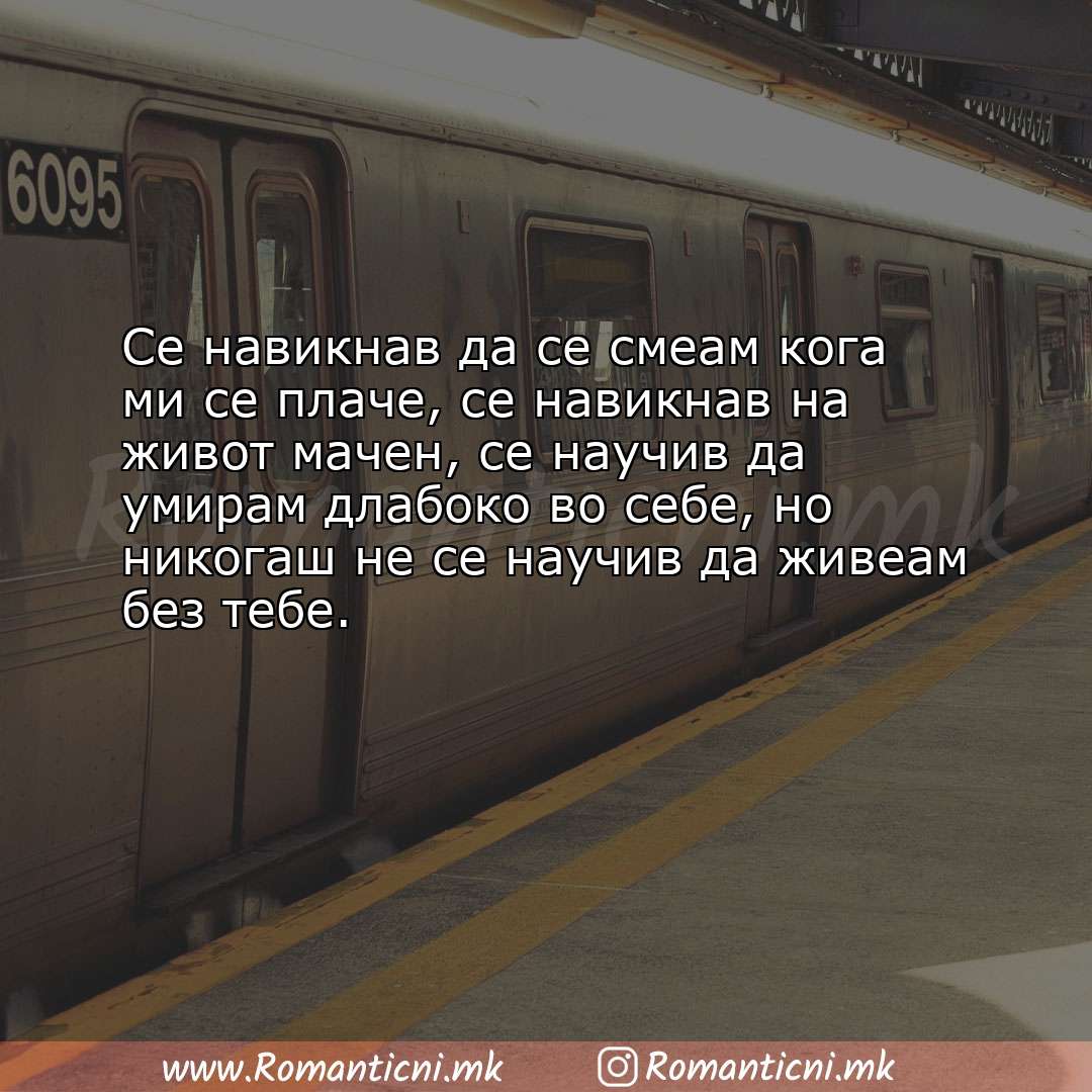 poraki za prijatel: Се навикнав да се смеам кога ми се плаче, се навикнав на живот мачен, се на