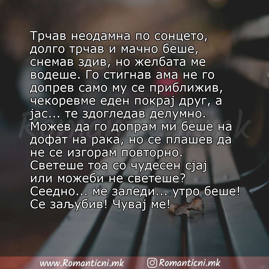 Ljubovna poraka: Трчав неодамна по сонцето, долго трчав и мачно беше, снемав здив, но желбата ме водеше. Го стигнав ама не го допрев само му се приближив, чекоревме еден покрај друг, а јас... те здогледав делу