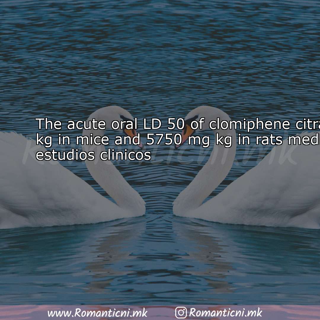 : The acute oral LD 50 of clomiphene citrate is 1700 mg kg in mi