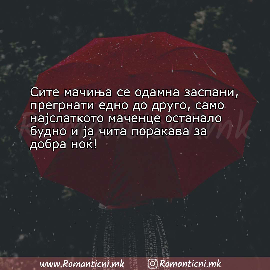 Ljubovna poraka: Сите мачиња се одамна заспани, прегрнати едно до друго, само нај